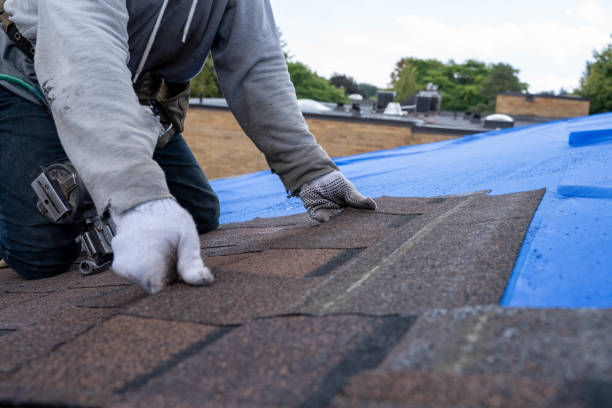 Best Rubber Roofing (EPDM, TPO)  in Edneyville, NC