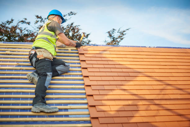 Best Roof Leak Repair  in Edneyville, NC